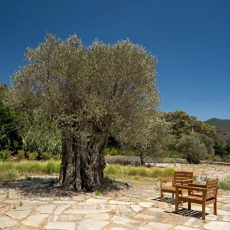 Вилла Bodroombnb Fully Private In Yalikavak For 20 Guests ,2 Pools & Botanical Garden Ideal For Events, Families & Friends *