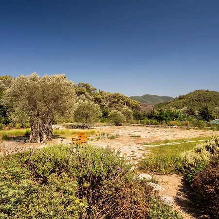 Bodroombnb Collective House Yalikavak Villa