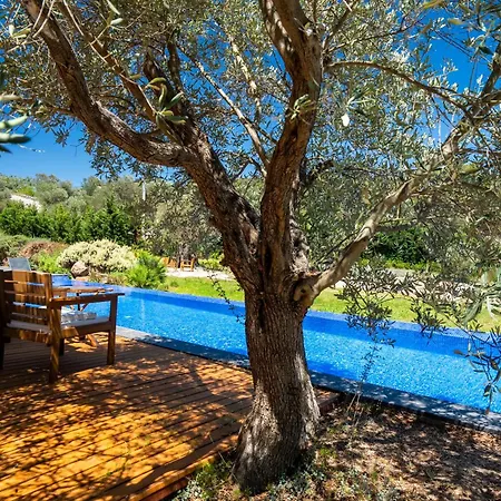 Bodroombnb Collective House Yalikavak * Gokcebel (Bodrum)