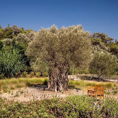 Bodroombnb Collective House Yalikavak Villa Gokcebel (Bodrum)